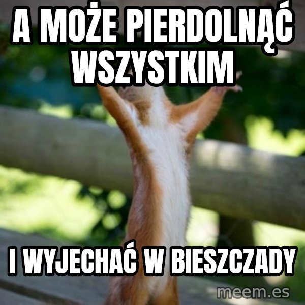 Praising Squirrel meme: A Może pierdolnąć wszystkim / i wyjechać w Bieszczady