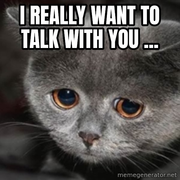 Sadcat meme: I really want to talk with you ...