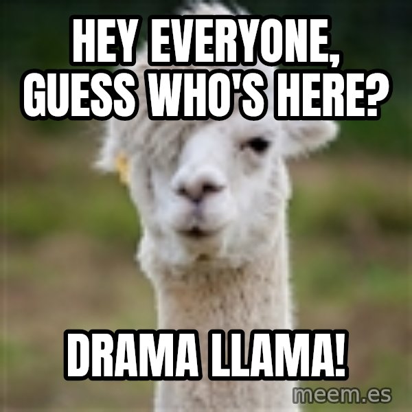 Hipster Llama meme: Hey everyone, guess who's here? / Drama Llama!