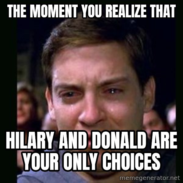 crying peter parker meme: The moment you realize that / Hilary and Donald are your only choices