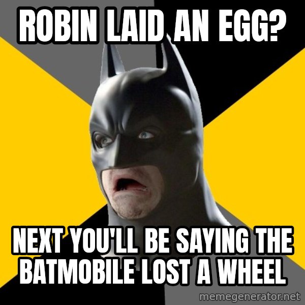 Bad Factman meme: Robin laid an egg? / Next you'll be saying the batmobile  lost a wheel