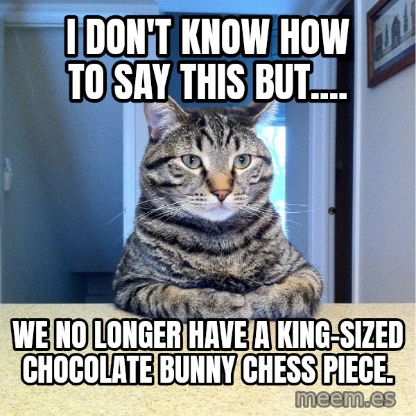 Chris Hansen Cat meme: I don't know how to say this but.... / We no longer have a King-sized chocolate bunny chess piece.