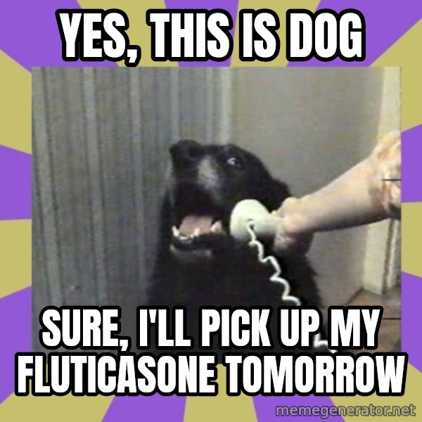 Yes, this is dog! meme: Yes, this is dog / sure, i'll pick up my fluticasone  tomorrow