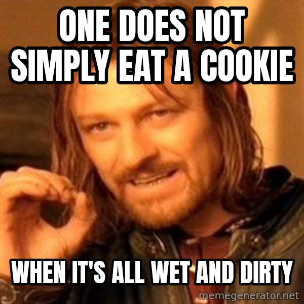 One Does Not Simply meme: one does not simply eat a cookie / when it's all wet and dirty
