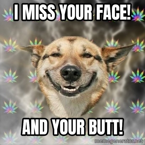 Stoner Dog meme: I miss your face! / And your butt!