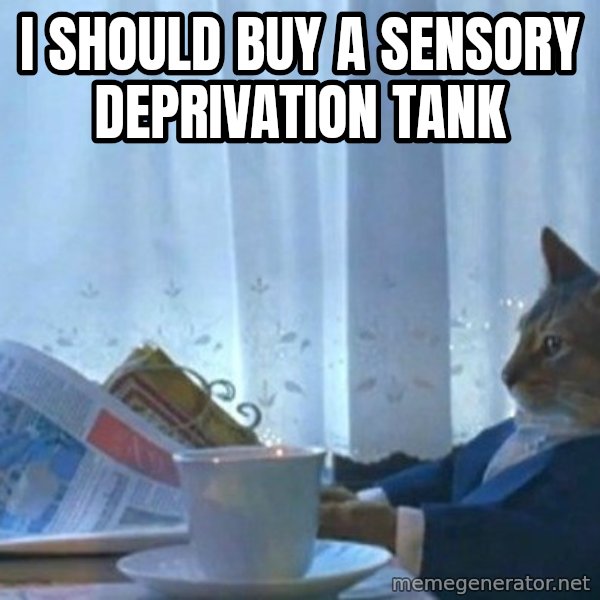 newspaper cat realization meme: I should buy a sensory deprivation tank