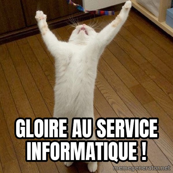 praise the lord cat meme: gloire au service informatique !