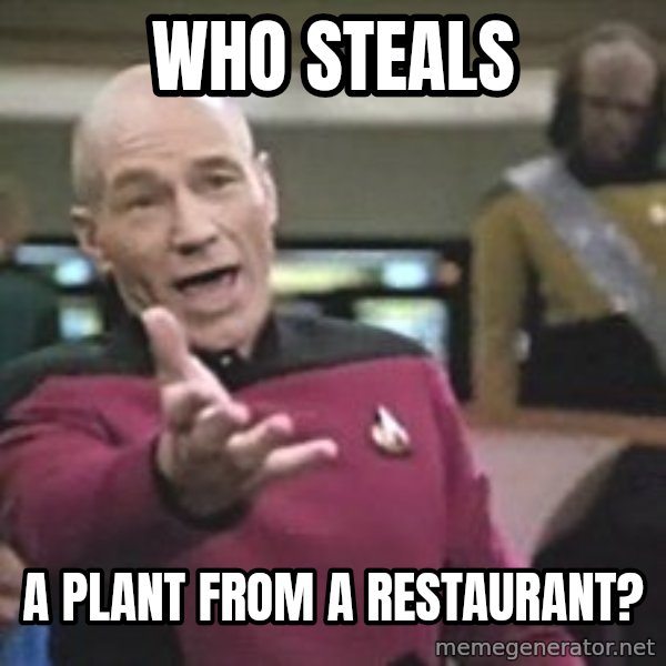 Captain Picard meme: Who steals / a plant from a restaurant?