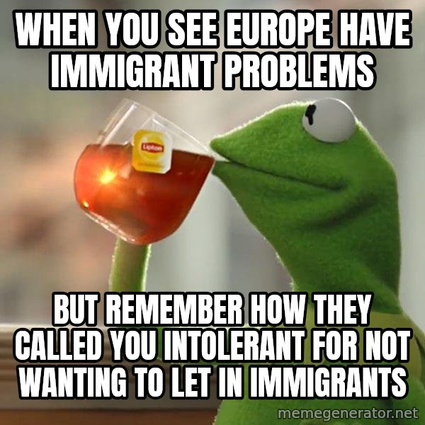 Kermit The Frog Drinking Tea meme: When you see Europe have immigrant problems / But remember how they called you intolerant for not wanting to let in immigrants