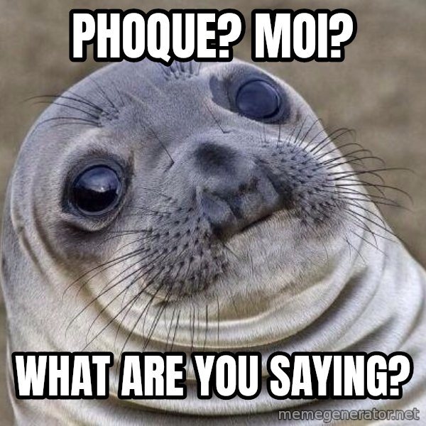 Awkward Seal meme: phoque? moi? / what are you saying?