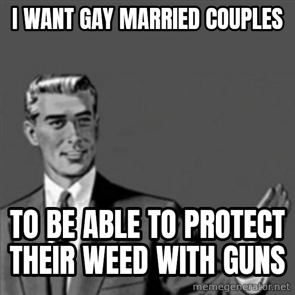 Correction Guy meme: i want gay married couples / to be able to protect their weed with guns