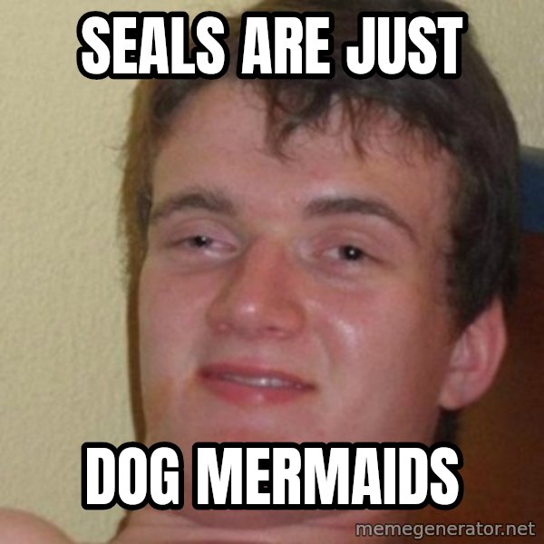 Really Stoned Guy meme: Seals are just / dog mermaids