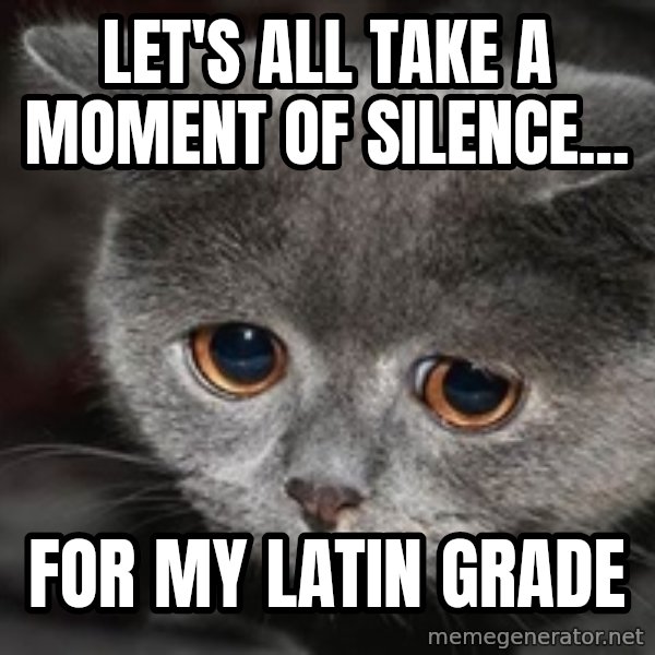 Sadcat meme: Let's all take a moment of silence... / for my Latin grade