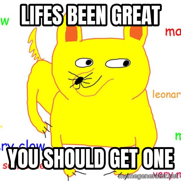 Grumpy Cat  meme: lifes been great / you should get one