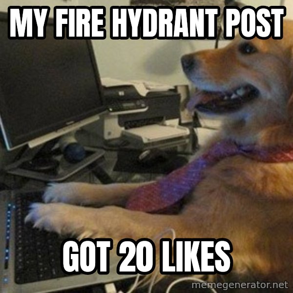 I have no idea what I'm doing - Dog with Tie meme: my fire hydrant post / got 20 likes