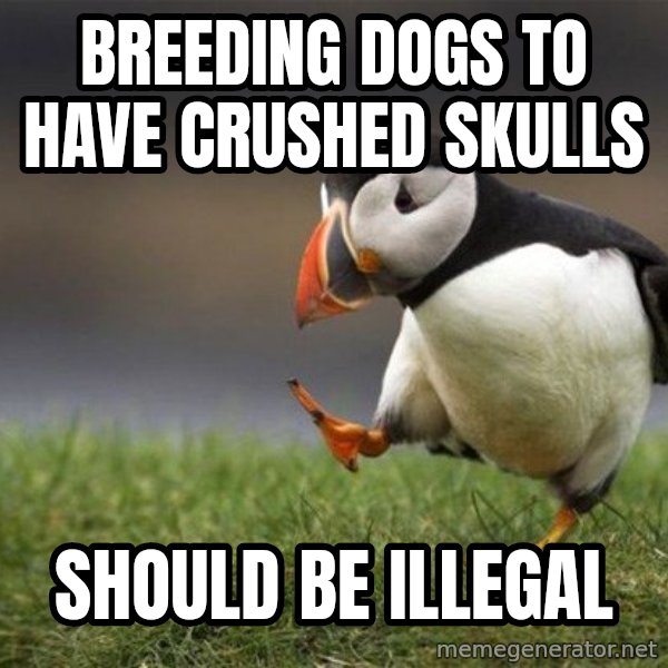 Unpopular Opinion Puffin meme: breeding dogs to have crushed skulls / should be illegal