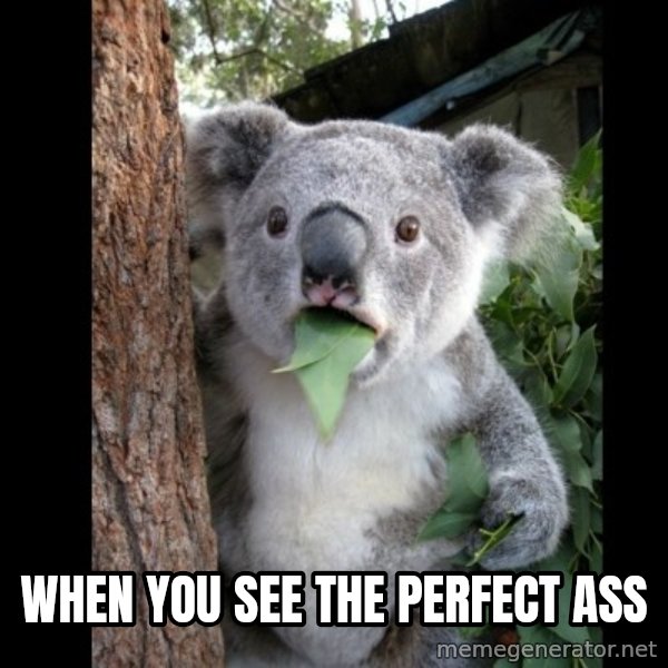 Koala can't believe it meme: WHEN YOU SEE THE PERFECT ASS