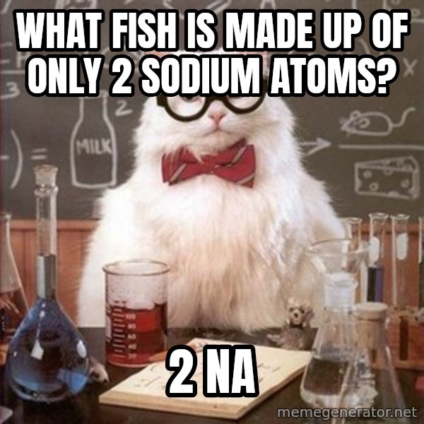 Chemistry Cat meme: What fish is made up of only 2 sodium atoms? / 2 Na