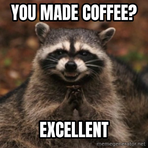 evil raccoon meme: YOU MADE COFFEE? / EXCELLENT