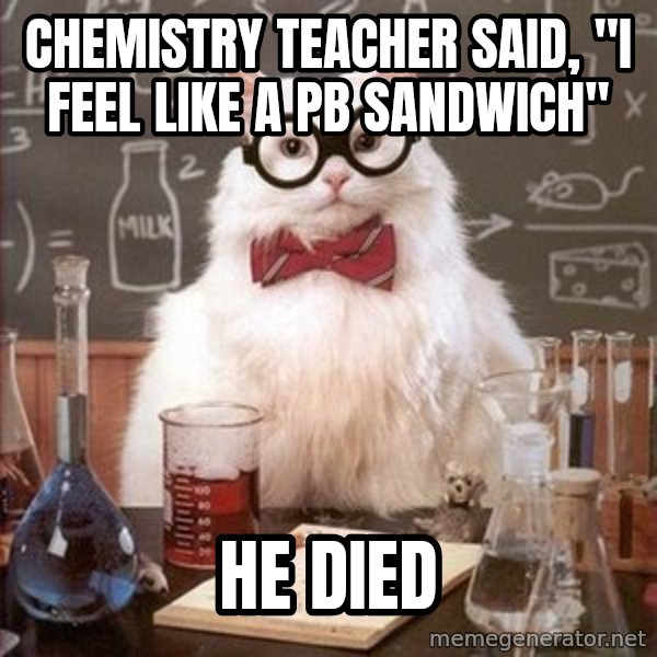 Chemistry Cat meme: Chemistry teacher said,   "I feel like a Pb sandwich" / He died