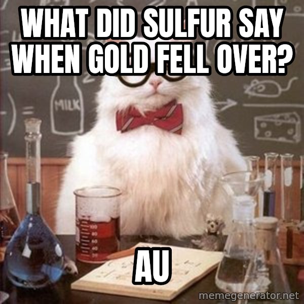Chemistry Cat meme: What did Sulfur say when Gold fell over? / Au