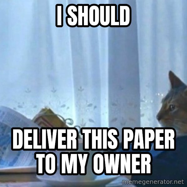 newspaper cat realization meme: I SHOULD / DELIVER THIS PAPER TO MY OWNER