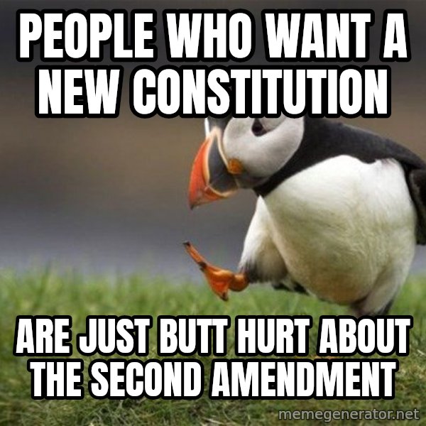 Unpopular Opinion Puffin meme: People who want a new Constitution / are just butt hurt about the second amendment