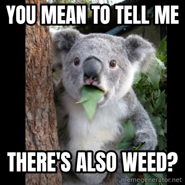 Koala can't believe it meme: you mean to tell me / there's also weed?