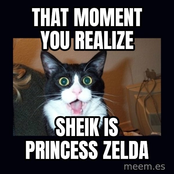shocked cat meme: That Moment you realize / Sheik is princess zelda