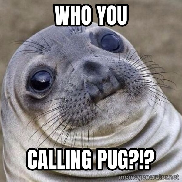 Awkward Seal meme: who you / calling pug?!?