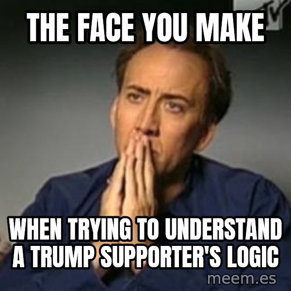 Nicolas Cage Meme meme: The face you make / when trying to understand a Trump supporter's logic