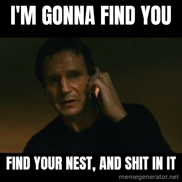 liam neeson taken meme: I'm gonna find you / find your nest, and shit in it