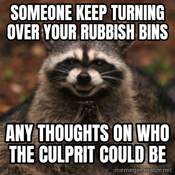 evil raccoon meme: someone keep turning over your rubbish bins / any thoughts on who the culprit could be