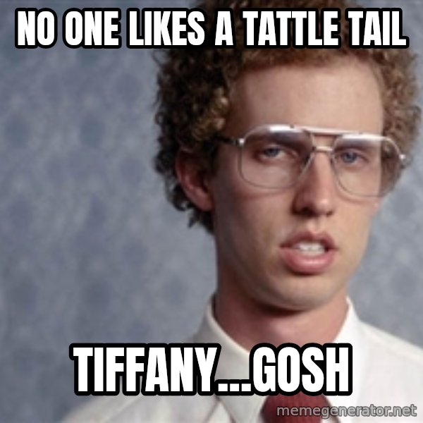 Napoleon Dynamite meme: No one likes a tattle tail / Tiffany...GOSH