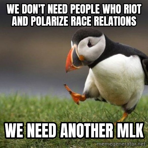 Unpopular Opinion Puffin meme: We don't need people who riot and polarize race relations / We need another MLK
