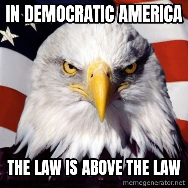 American Pride Eagle meme: in democratic America / the law is above the law