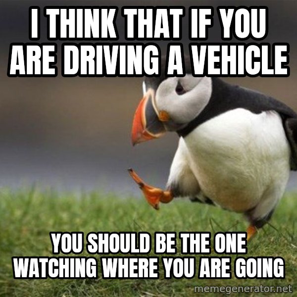 Unpopular Opinion Puffin meme: i think that if you are driving a vehicle / you should be the one watching where you are going