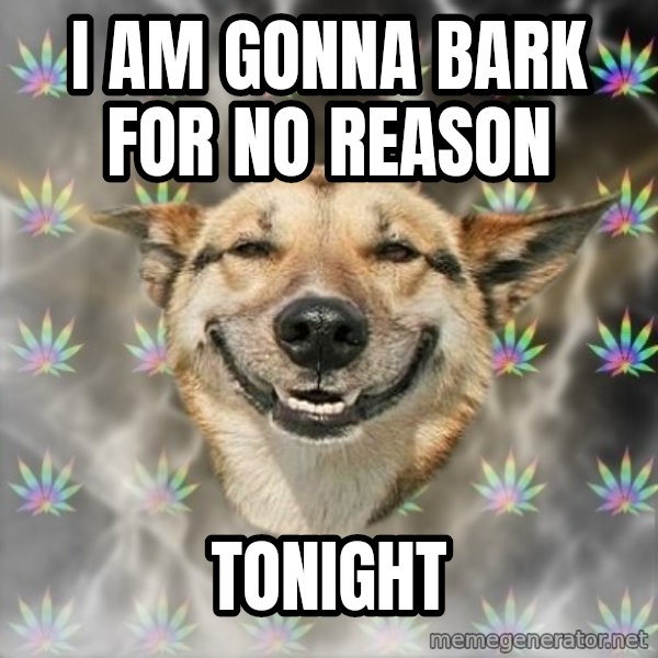 Stoner Dog meme: I AM GONNA BARK FOR NO REASON / TONIGHT