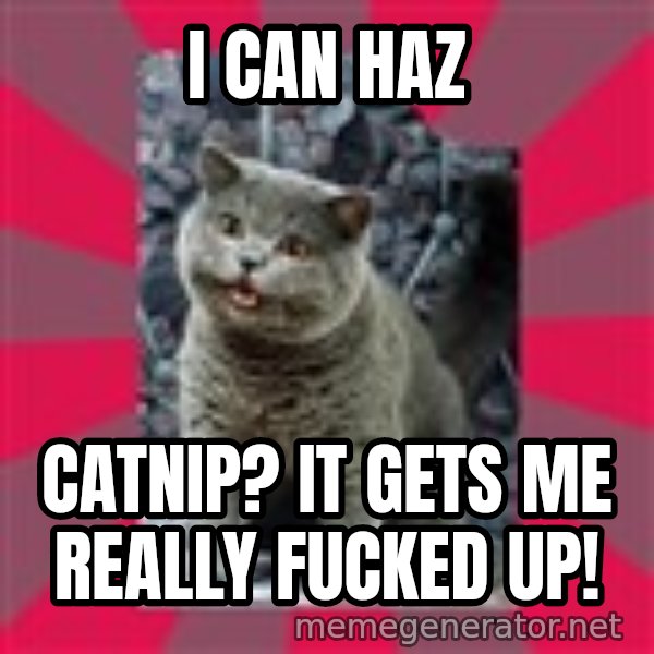I can haz meme: I can haz / catnip? It gets me really fucked up!