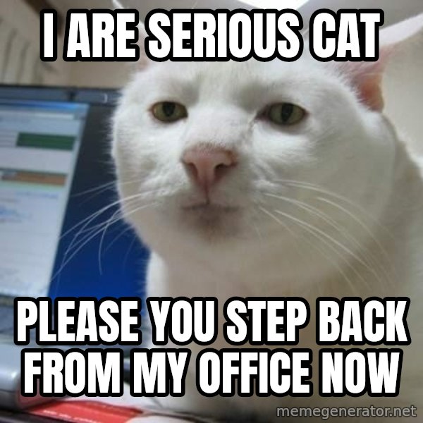 Serious Cat meme: I are serious cat / please you step back from my office now