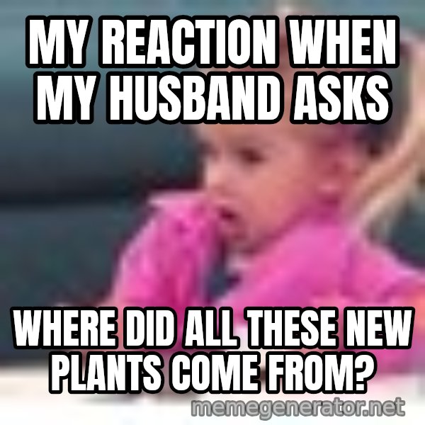 little girl fac3 meme: My reaction when my husband asks / Where did all these new plants come from?