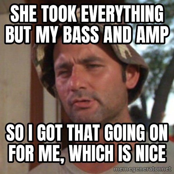 So I got that going on for me, which is nice meme: she took everything but my bass and amp / So I got that going on for me, which is nice