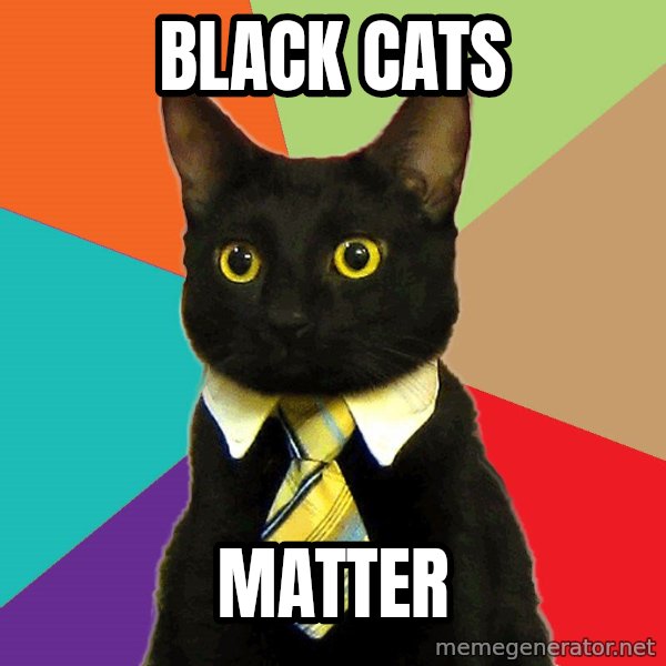 Business Cat meme: black cats / matter