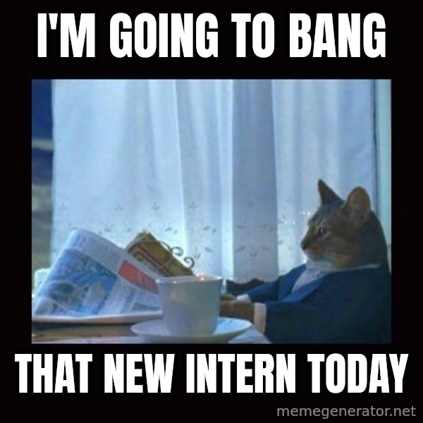 i should buy a boat cat meme: i'm going to bang / that new intern today