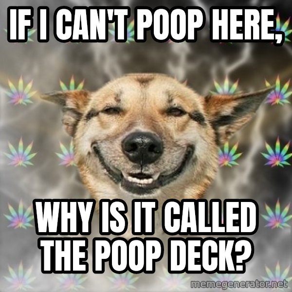 Stoner Dog meme: if i can't poop here, / why is it called the poop deck?