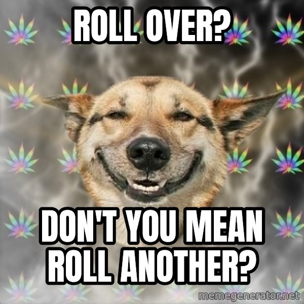 Stoner Dog meme: Roll over? / Don't you mean roll another?