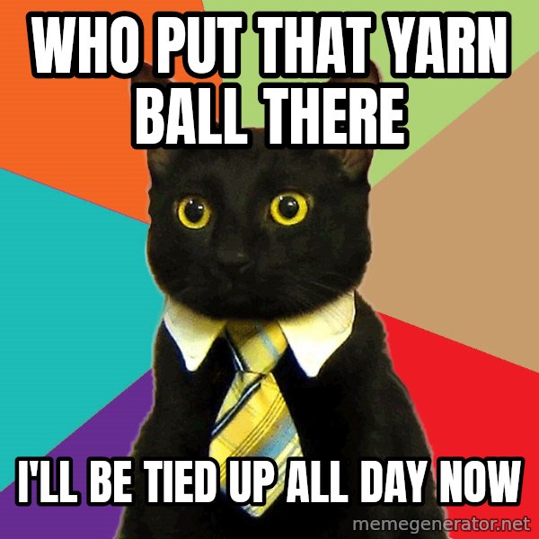 Business Cat meme: who put that yarn ball there / i'll be tied up all day now
