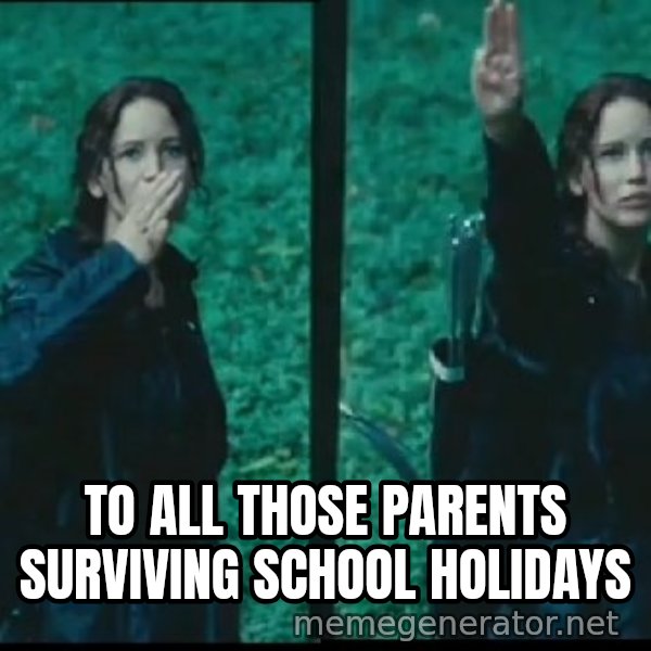 Hunger Games Katniss Salute meme: TO ALL THOSE PARENTS SURVIVING SCHOOL HOLIDAYS