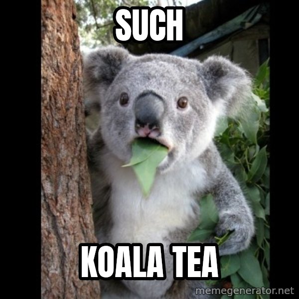 Koala can't believe it meme: Such / Koala Tea