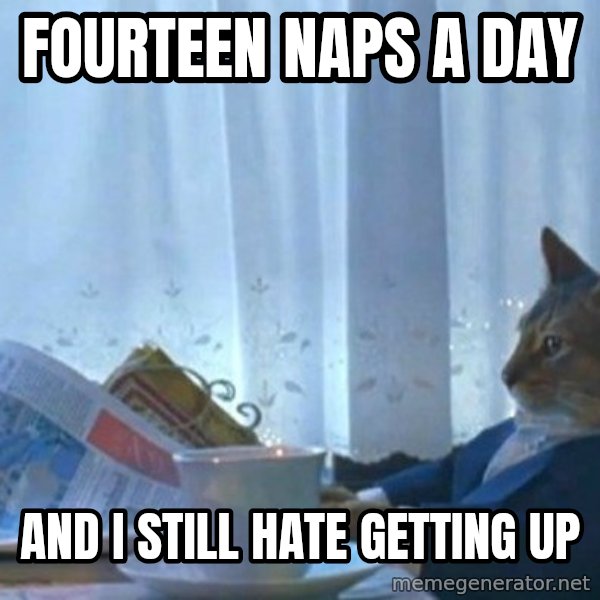 newspaper cat realization meme: fourteen naps a day / and I still hate getting up